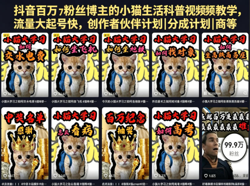 抖音百万粉丝博主的小猫生活科普视频教学，流量大起号快，创作者伙伴计划|分成计划|商单|收徒等-爱尚网赚