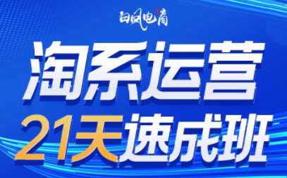 白凤电商·淘系运营21天速成班(更新4月)-爱尚网赚