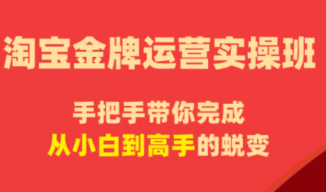 飓风电商·淘宝金牌运营实操班-爱尚网赚