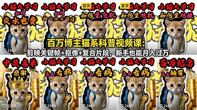 百万博主猫系科普视频课：剪映关键帧+抠像+复合片段，新手也能月入过万-爱尚网赚