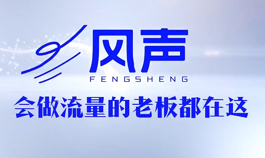 董十一·风声短视频AI获客年度会员-爱尚网赚