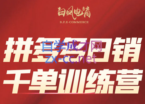 白凤电商·拼多多日销千单训练营(更新4月)-爱尚网赚