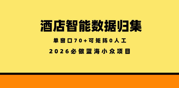 酒店智能数据归集，小众蓝海已经稳定半年之久，单窗口70+零成本矩阵开干【揭秘】-爱尚网赚