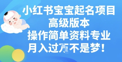 小红书宝宝起名项目高级版本，操作简单，资料专业，月入过W-爱尚网赚