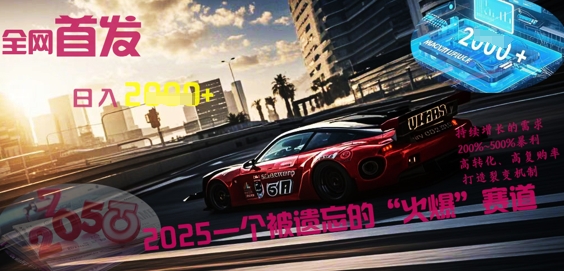 全网首发：2025一个被遗忘的“火爆”赛道轻松日入多张-爱尚网赚