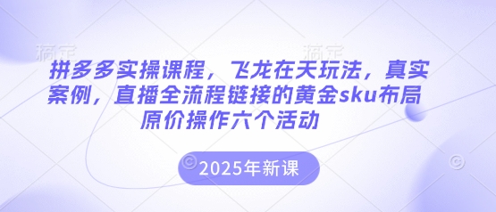 拼多多实操课程，飞龙在天玩法，真实案例，直播全流程链接的黄金sku布局原价操作六个活动-爱尚网赚