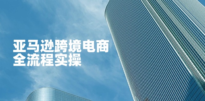 （14252期）亚马逊跨境电商全流程实操，教你从零开始，掌握店铺运营与广告技巧-爱尚网赚