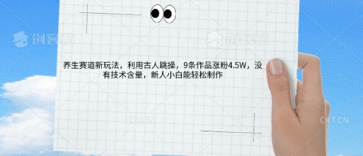 AI养生赛道新玩法，10条作品涨粉5.2W，操作简单，新人小白能轻松制作-爱尚网赚