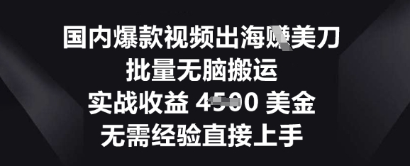 国内爆款视频出海挣美刀，批量无脑搬运，实战收益4.5k，无需经验直接上手-爱尚网赚