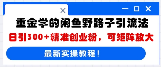 重金学的闲鱼野路子引流法，日引300+精准创业粉，可矩阵放大-爱尚网赚