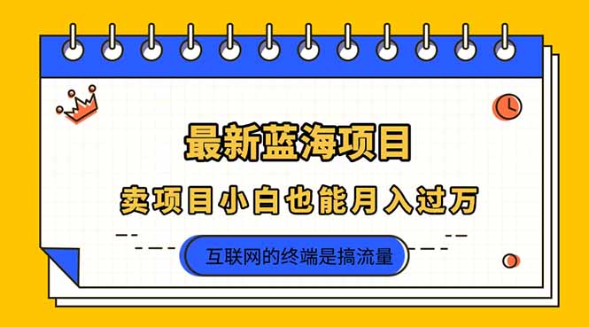 （14289期）2025年最新蓝海项目，卖项目小白也能月入过万-爱尚网赚