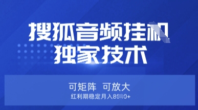 【搜狐音频挂G】独家技术，可矩阵可放大，红利期稳定月入8k【揭秘】-爱尚网赚