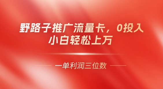 0门槛推广流量卡，一单收益上百，0投入，小白月入过W-爱尚网赚
