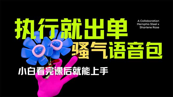 （14170期）爆火全网的开车导航骚气语音包,只要执行就出单，小白看完课程就能实操...-爱尚网赚
