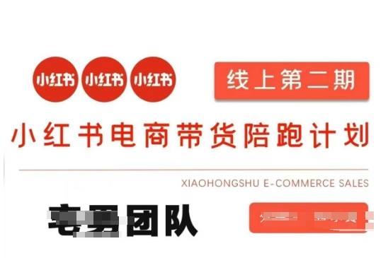 小红书电商带货课2期，月利润20个的小红书电商的有货源，无货源，虚拟产品，付费投流等整套玩法-爱尚网赚