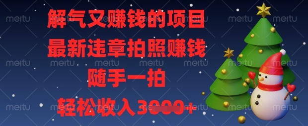 解气又挣钱的项目，最新违章拍照挣钱，随手一拍，轻松收入数张【揭秘】-爱尚网赚